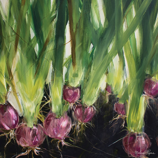 Red Onions Canvas Print