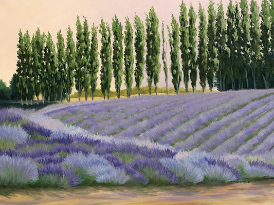 Greysmarsh Lavender