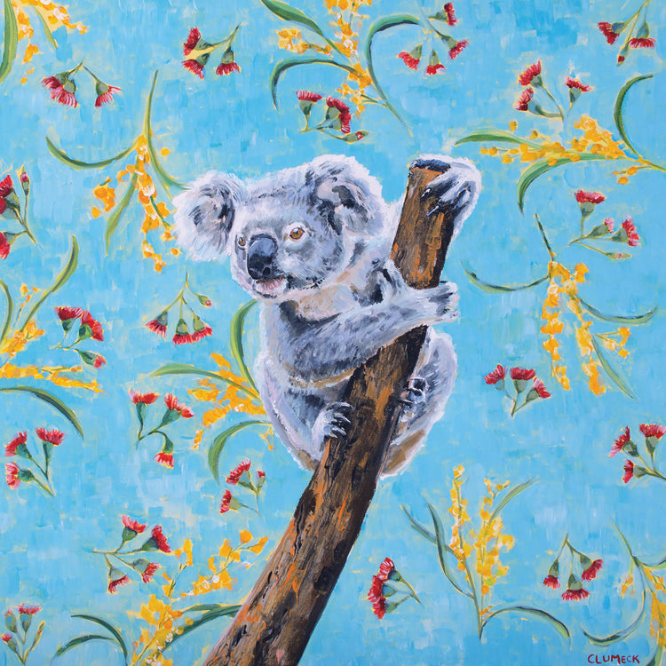 Koala