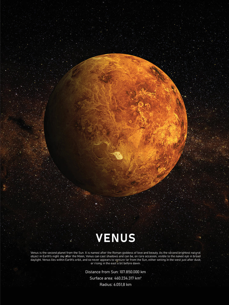 venus Lienzo