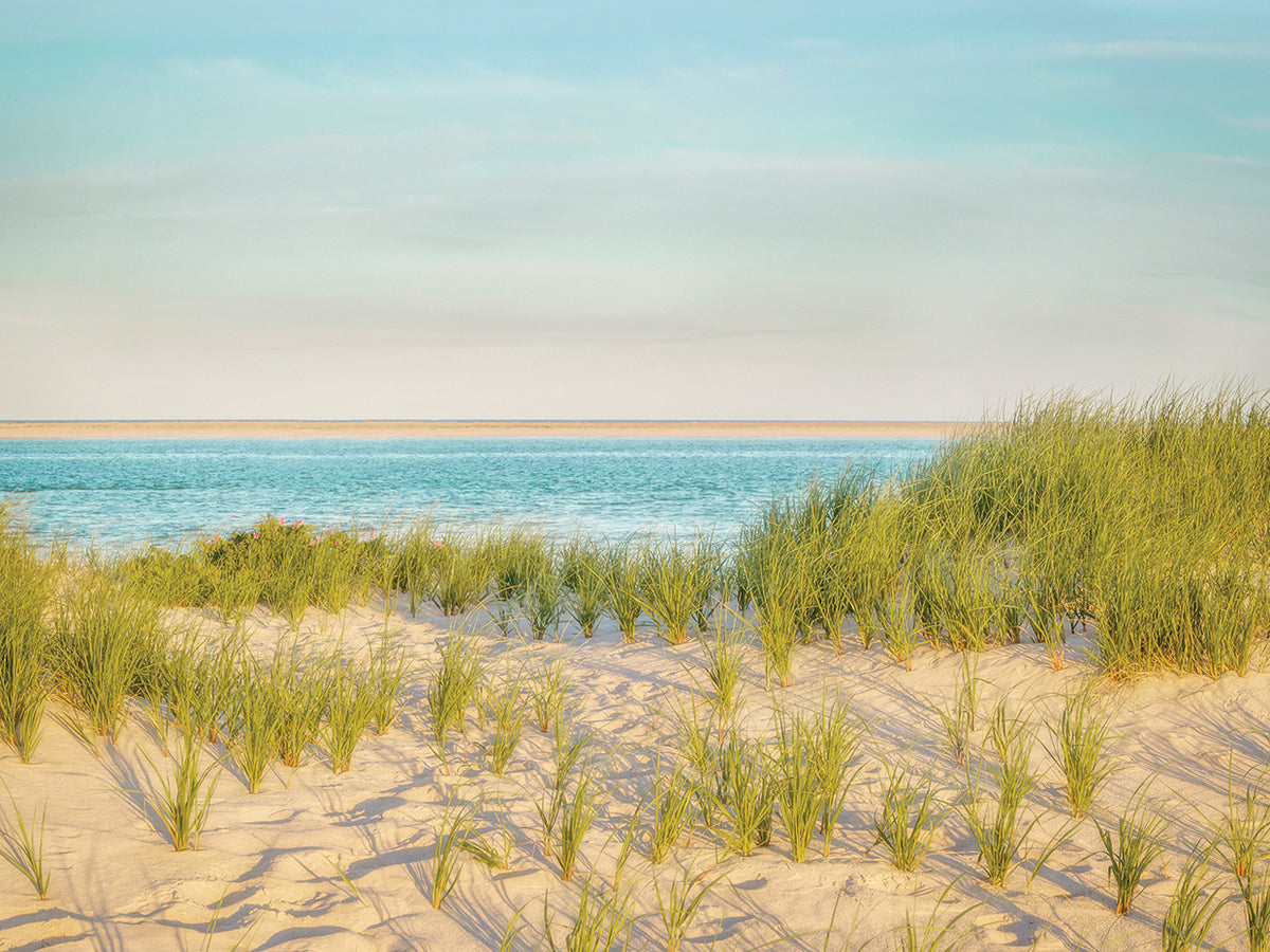 Monomoy View