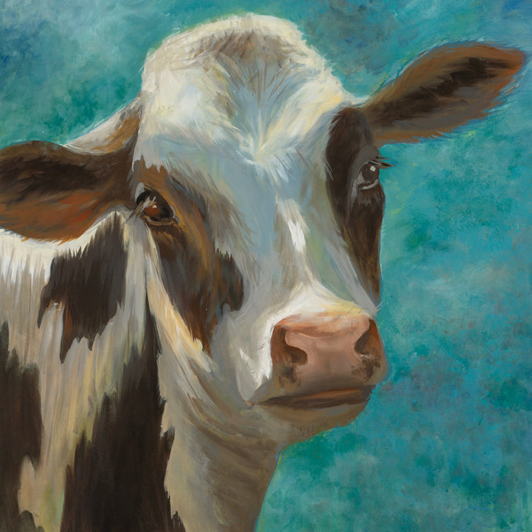 Moo on Blue