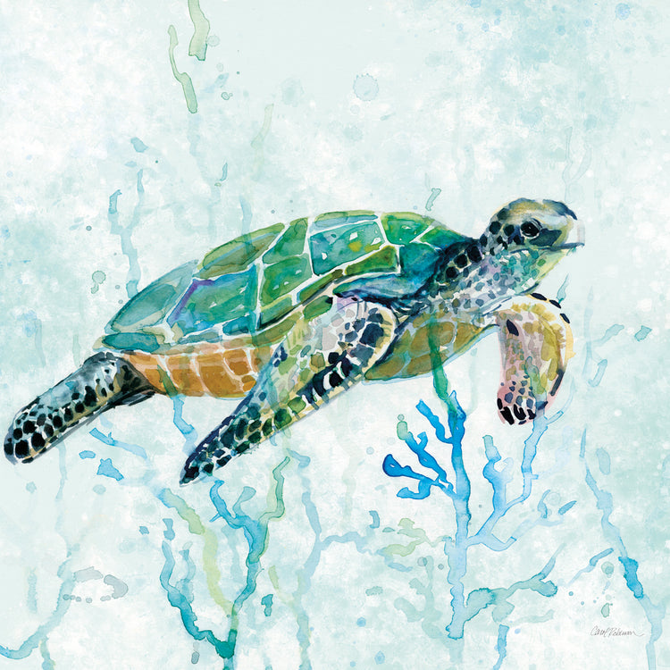 Sea Turtle Swim I