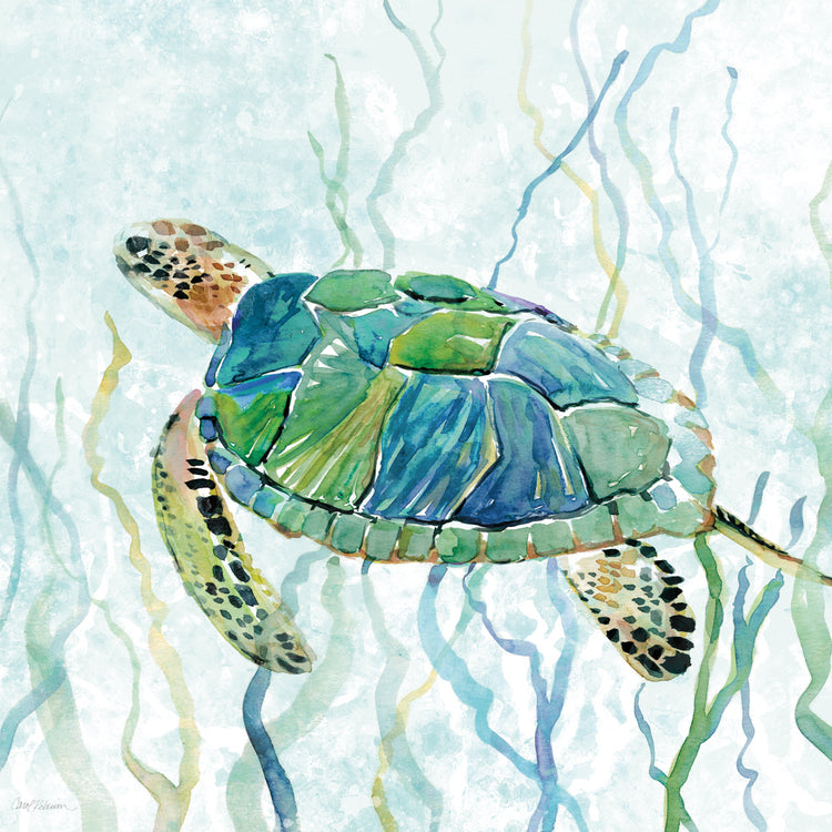 Nadar con tortugas marinas II Lienzo