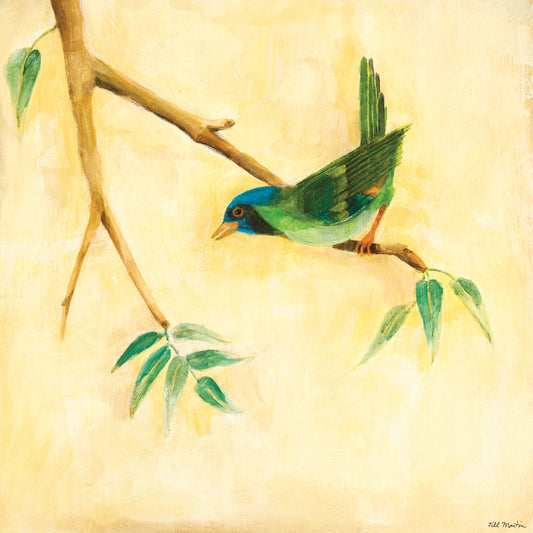 Bird Song III Canvas Print