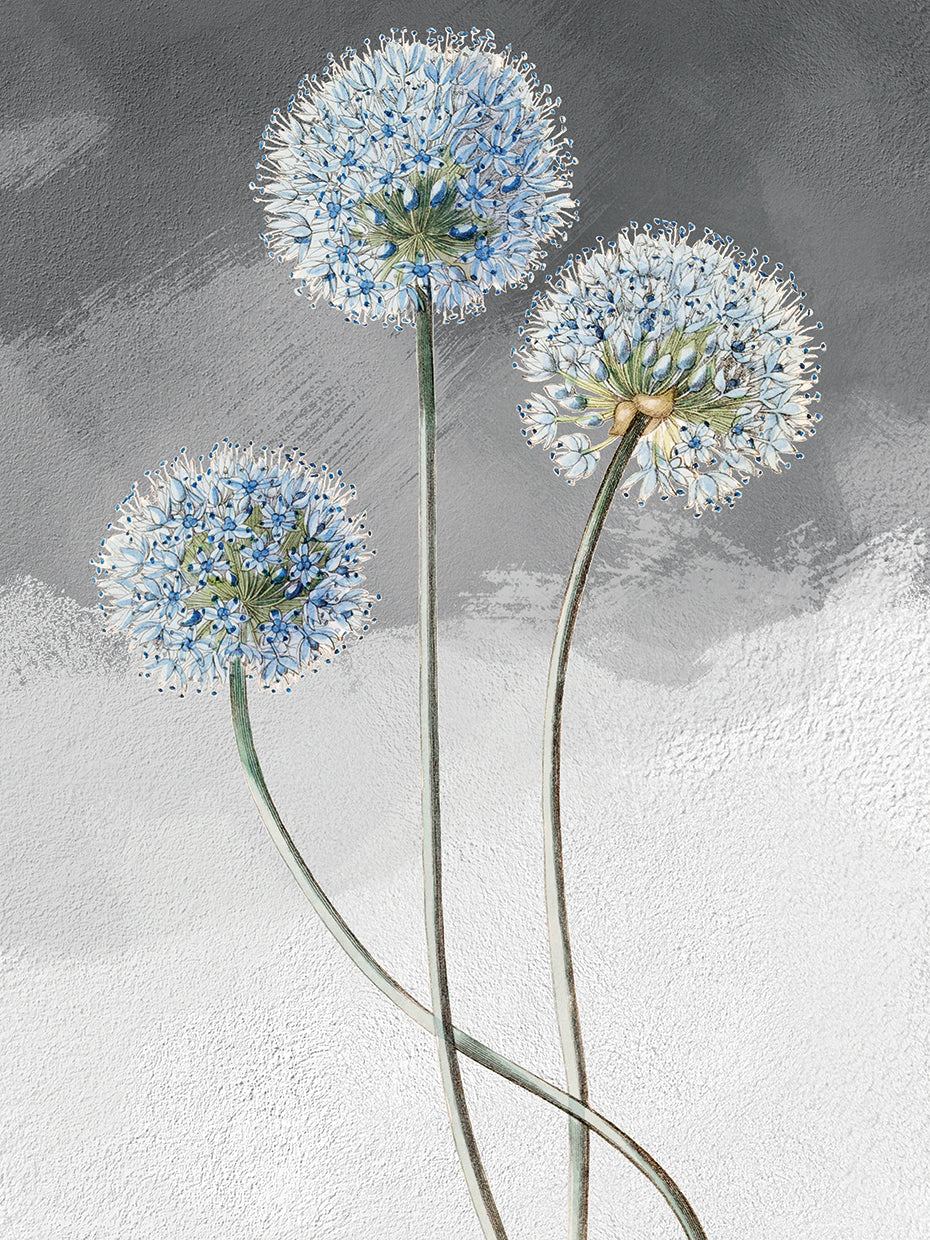 Blue Leek Grey