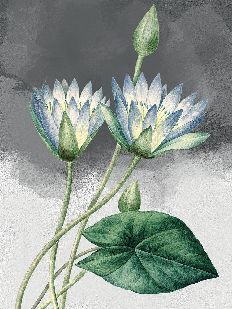 Loto azul gris Lienzo
