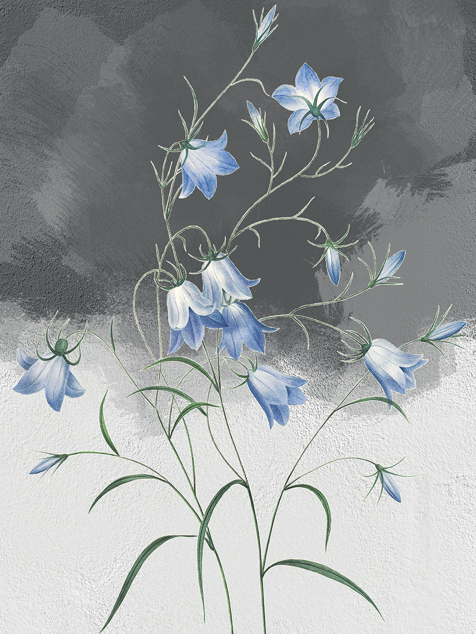 Bluebells Grey