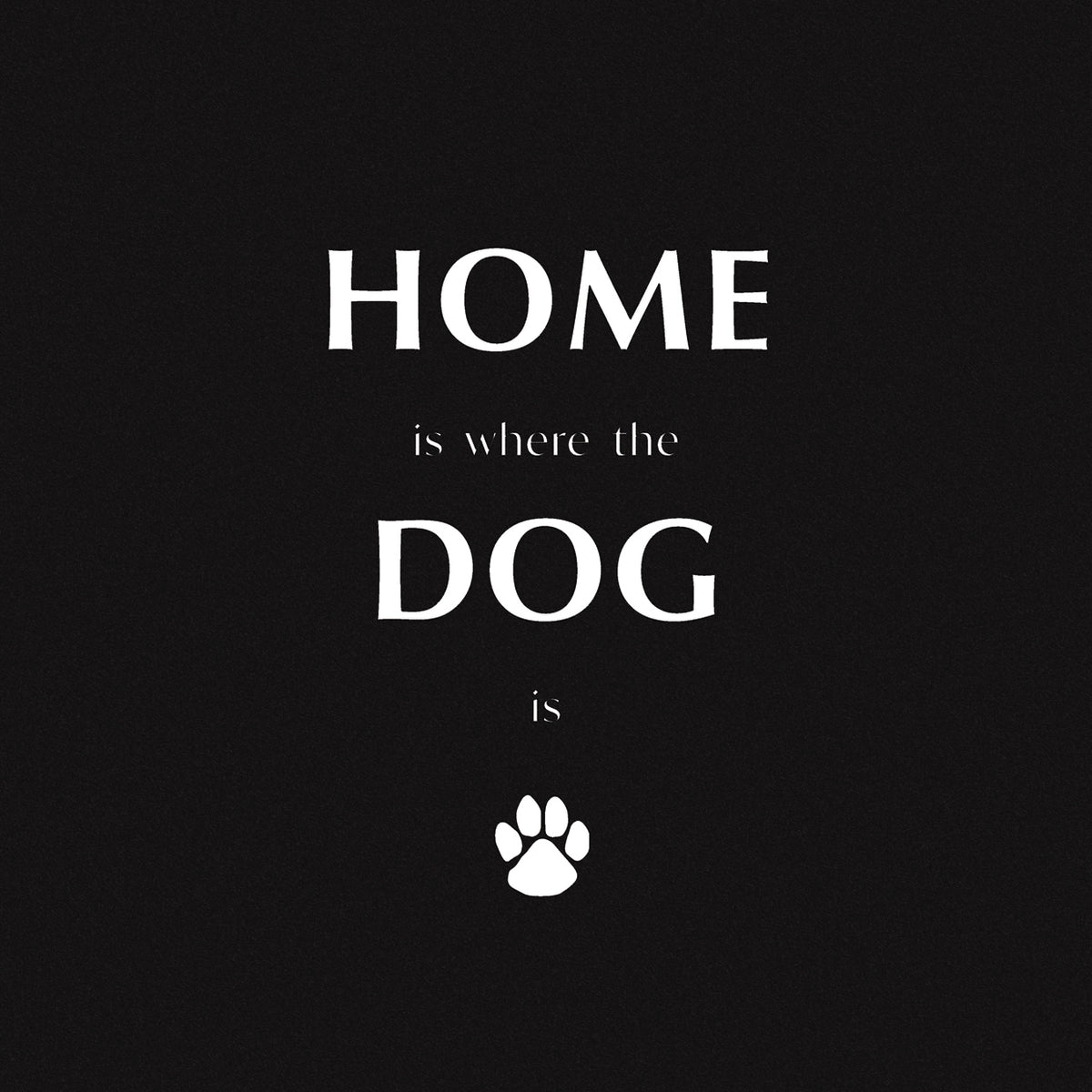 Home Dog on Black