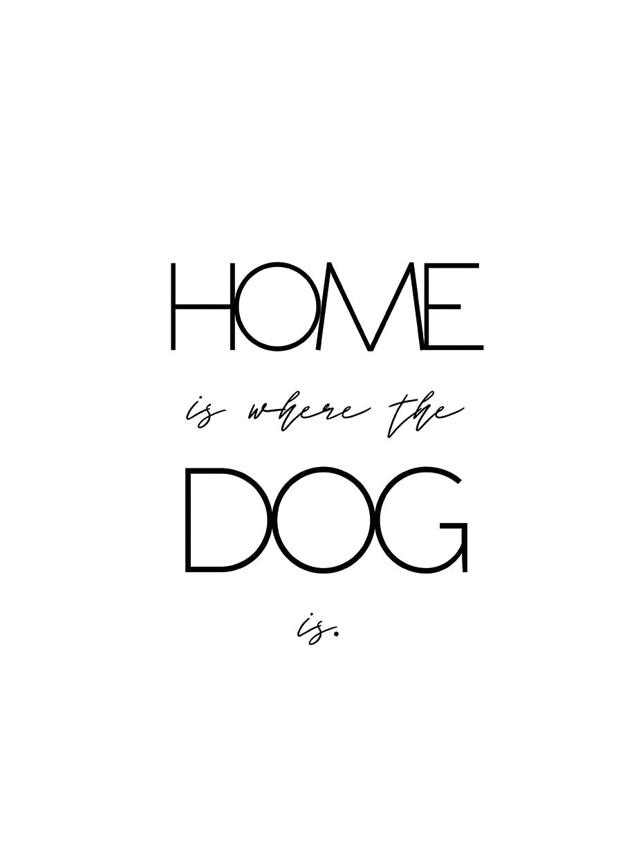 Home Dog