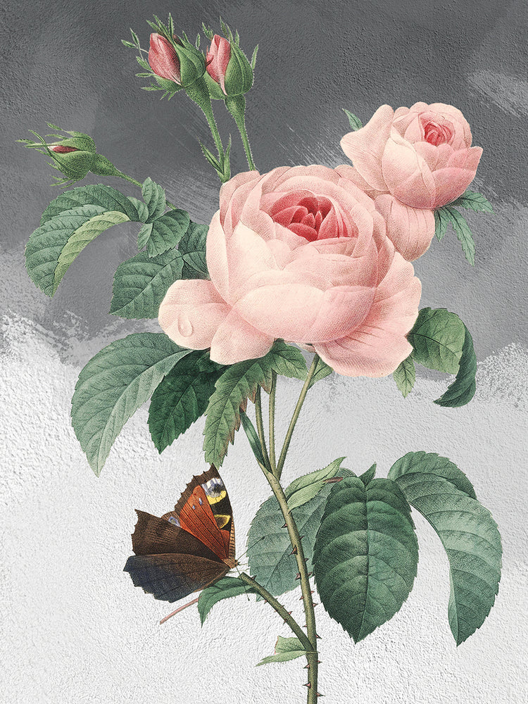 Pink Roses 2 Grey