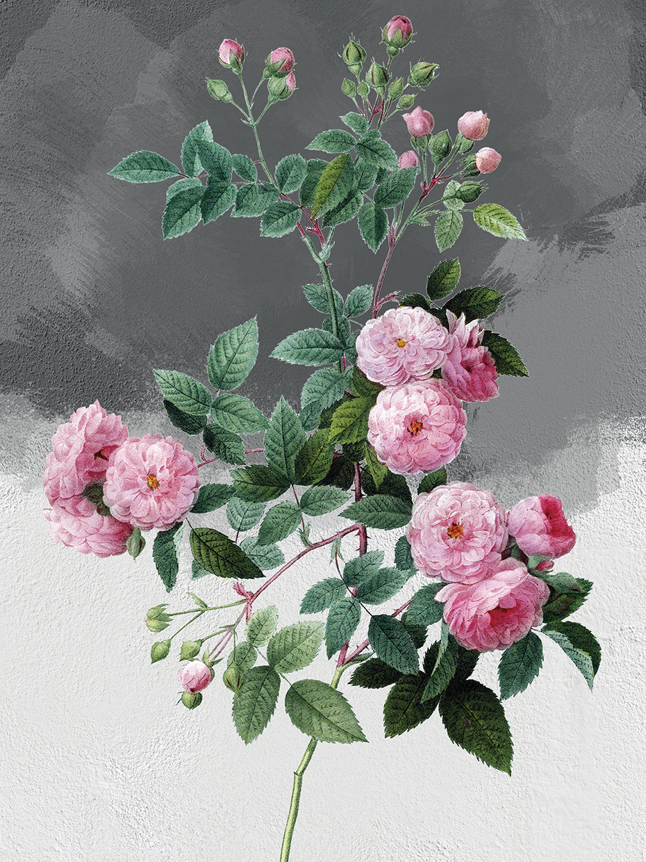 Pink Roses Grey