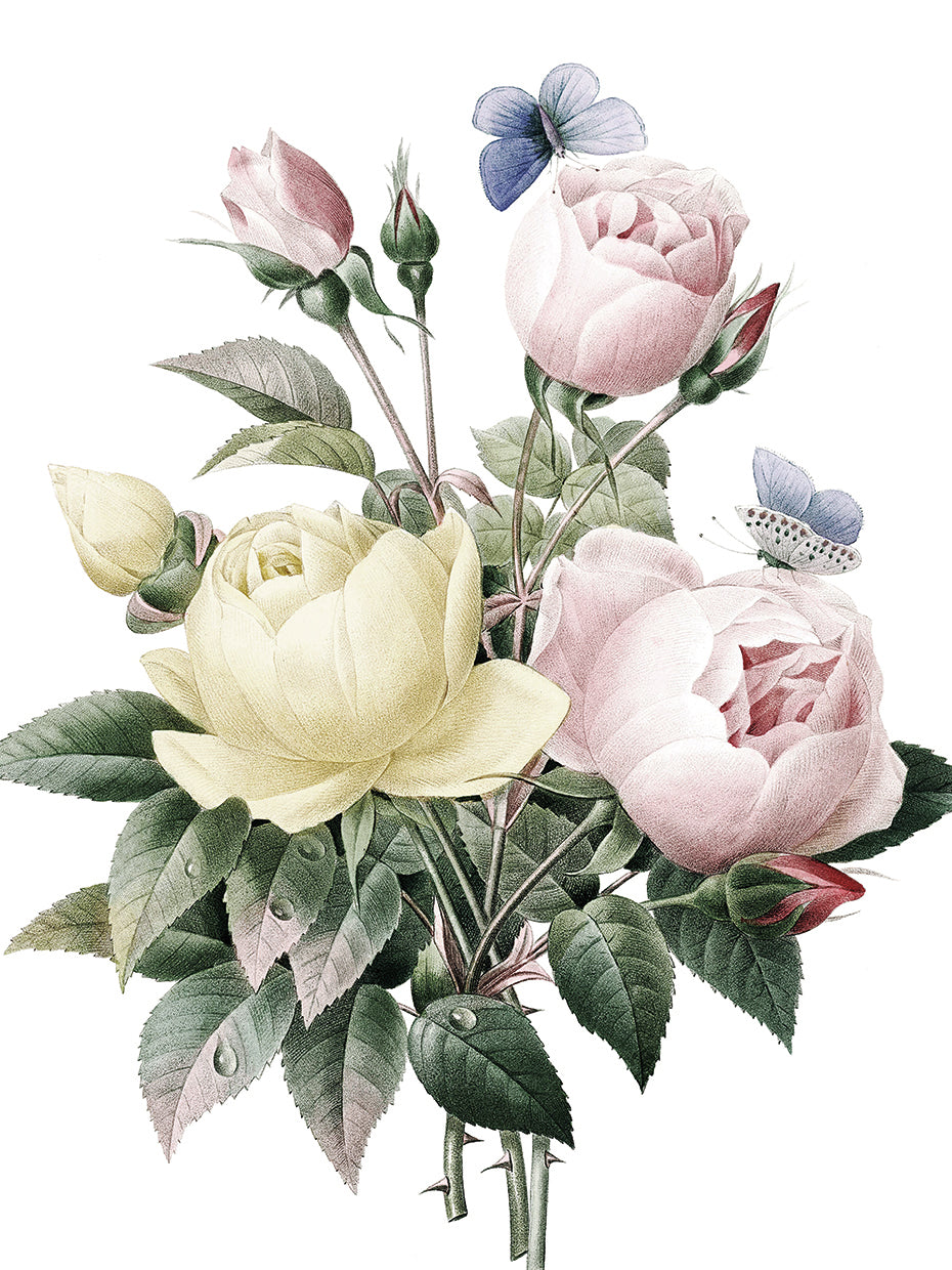 Pink Yellow Roses Crop Lite
