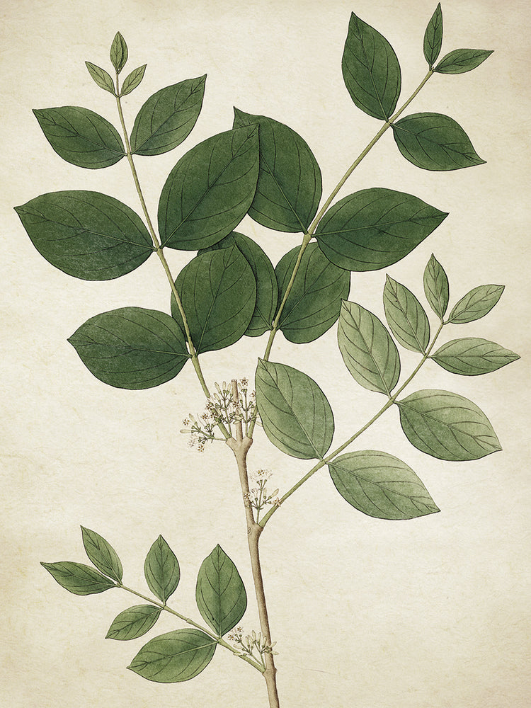 Simple Nature I Texture