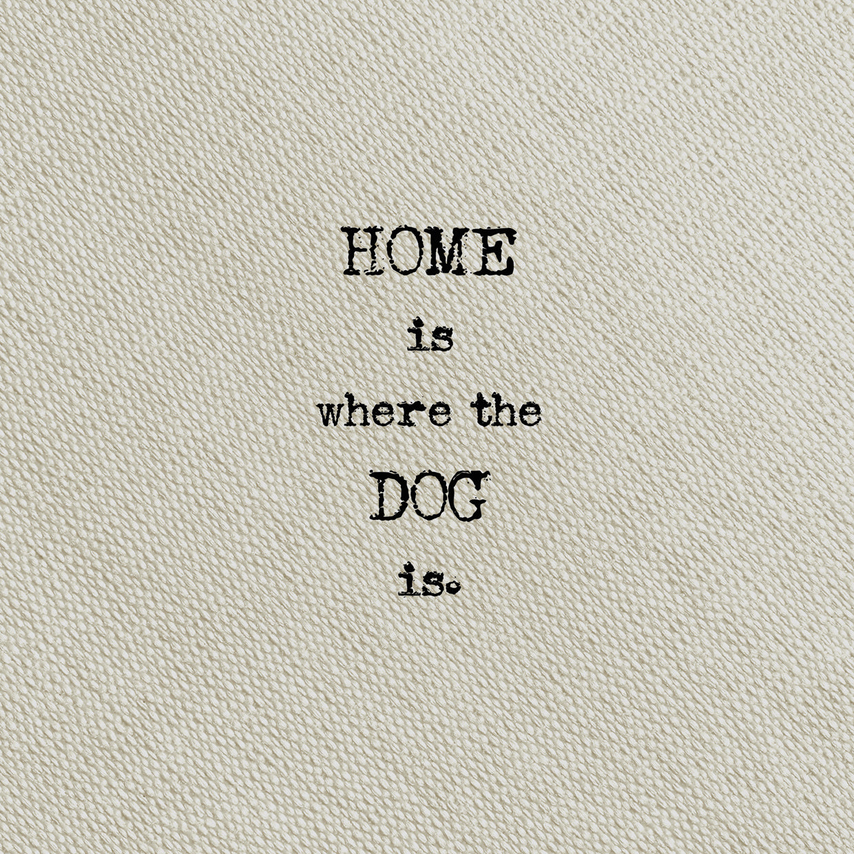 Escribe en Taupe Dog Lienzo