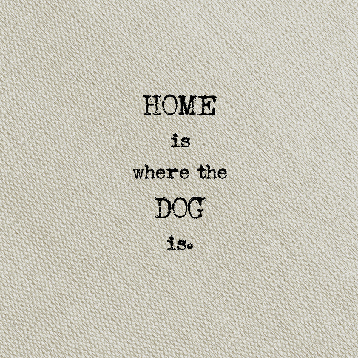 Type on Taupe Dog