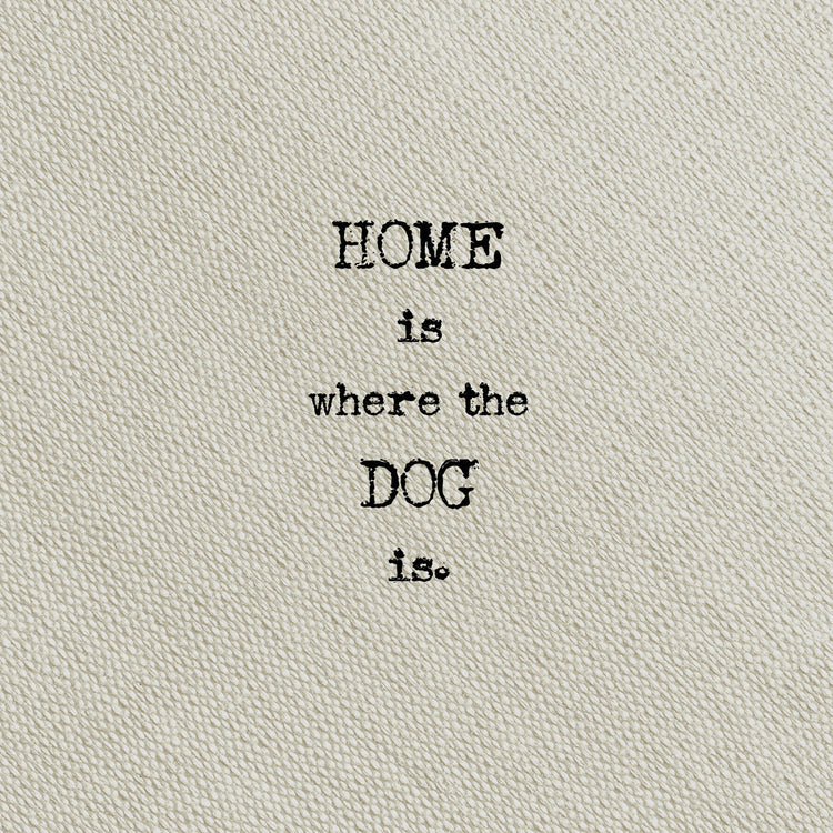Escribe en Taupe Dog Lienzo