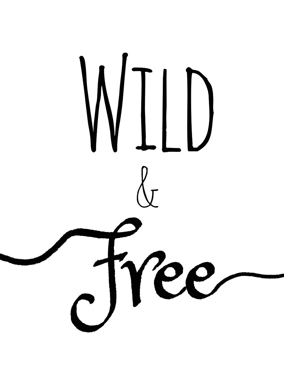 Wild & Free