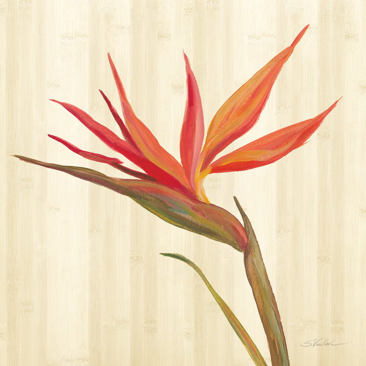 Jardín tropical IV Lienzo
