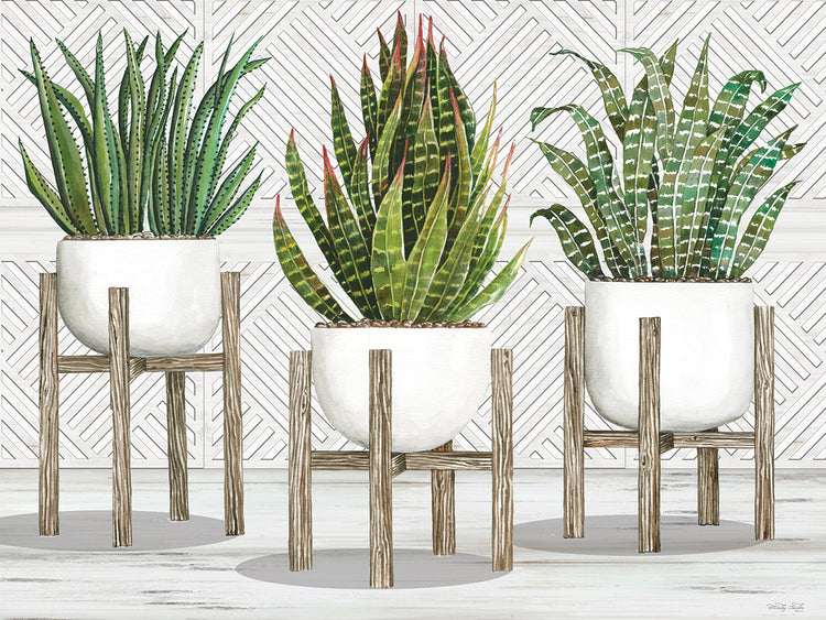 Succulent Trio on Stands