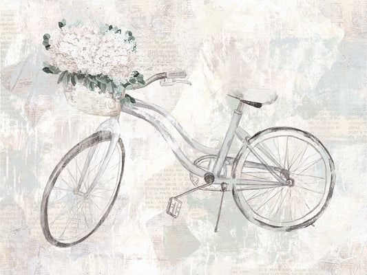 Bicycle Dream Canvas Print