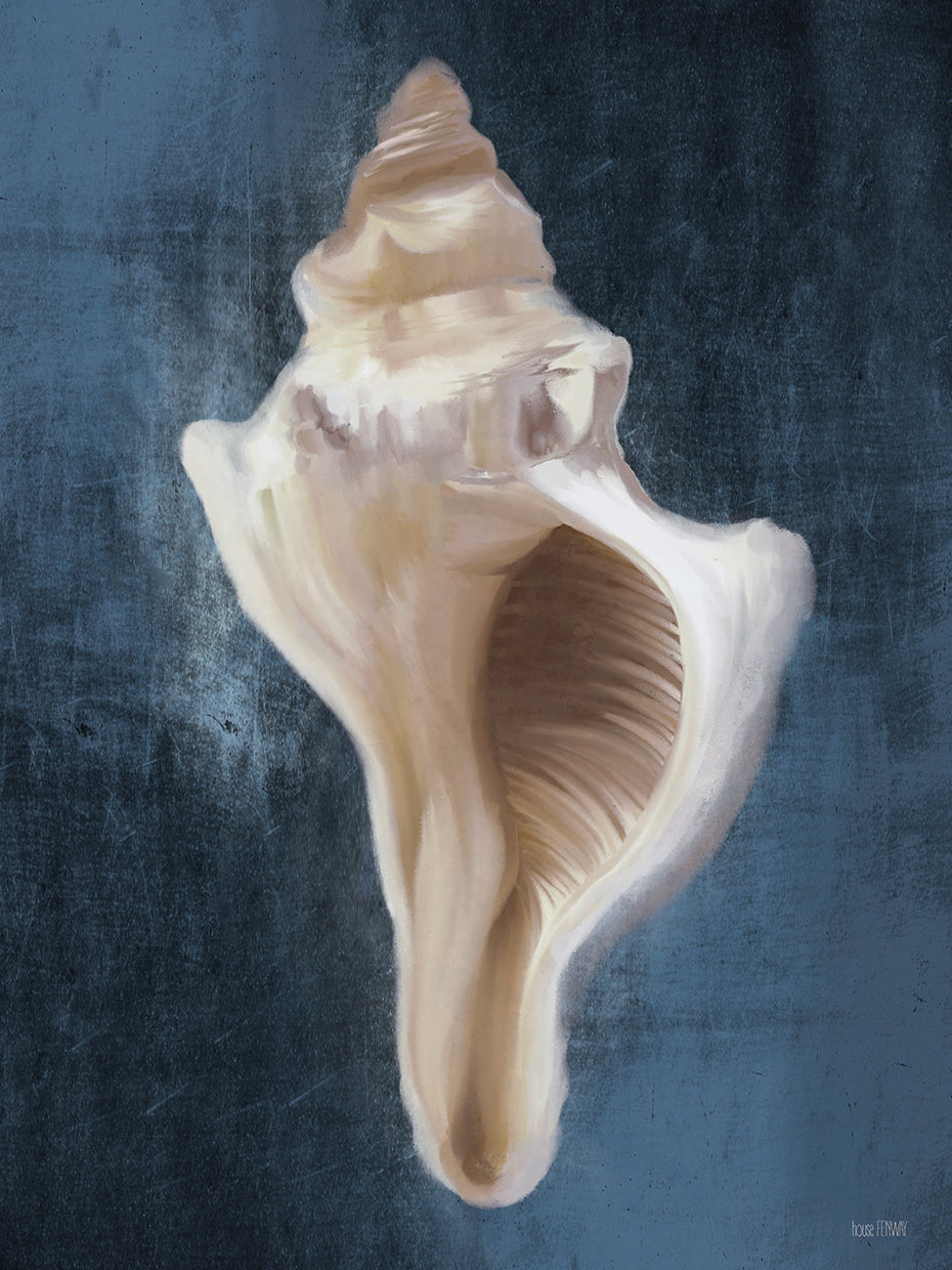 Conch Shell Blues II
