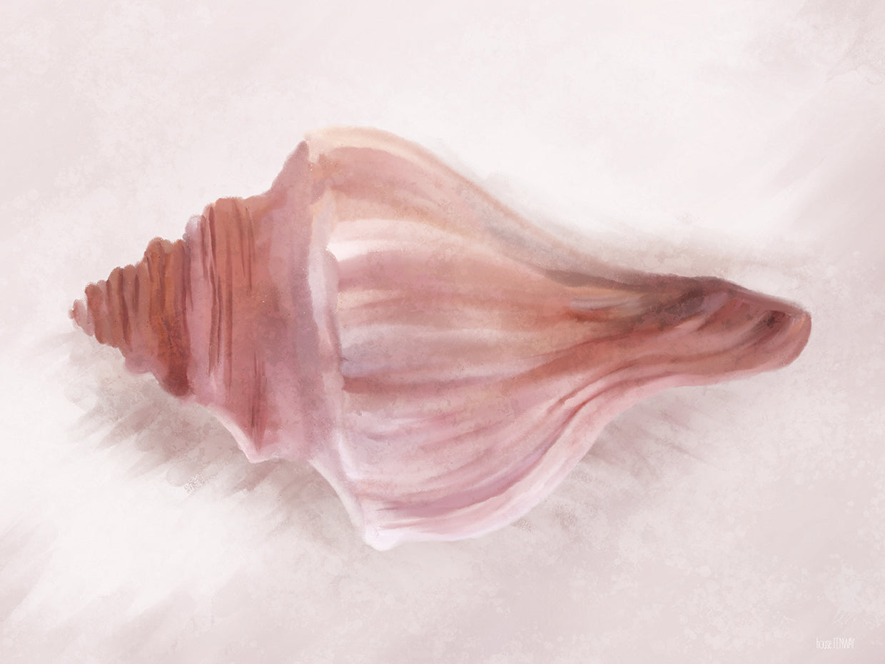 Conch Shell Blush I