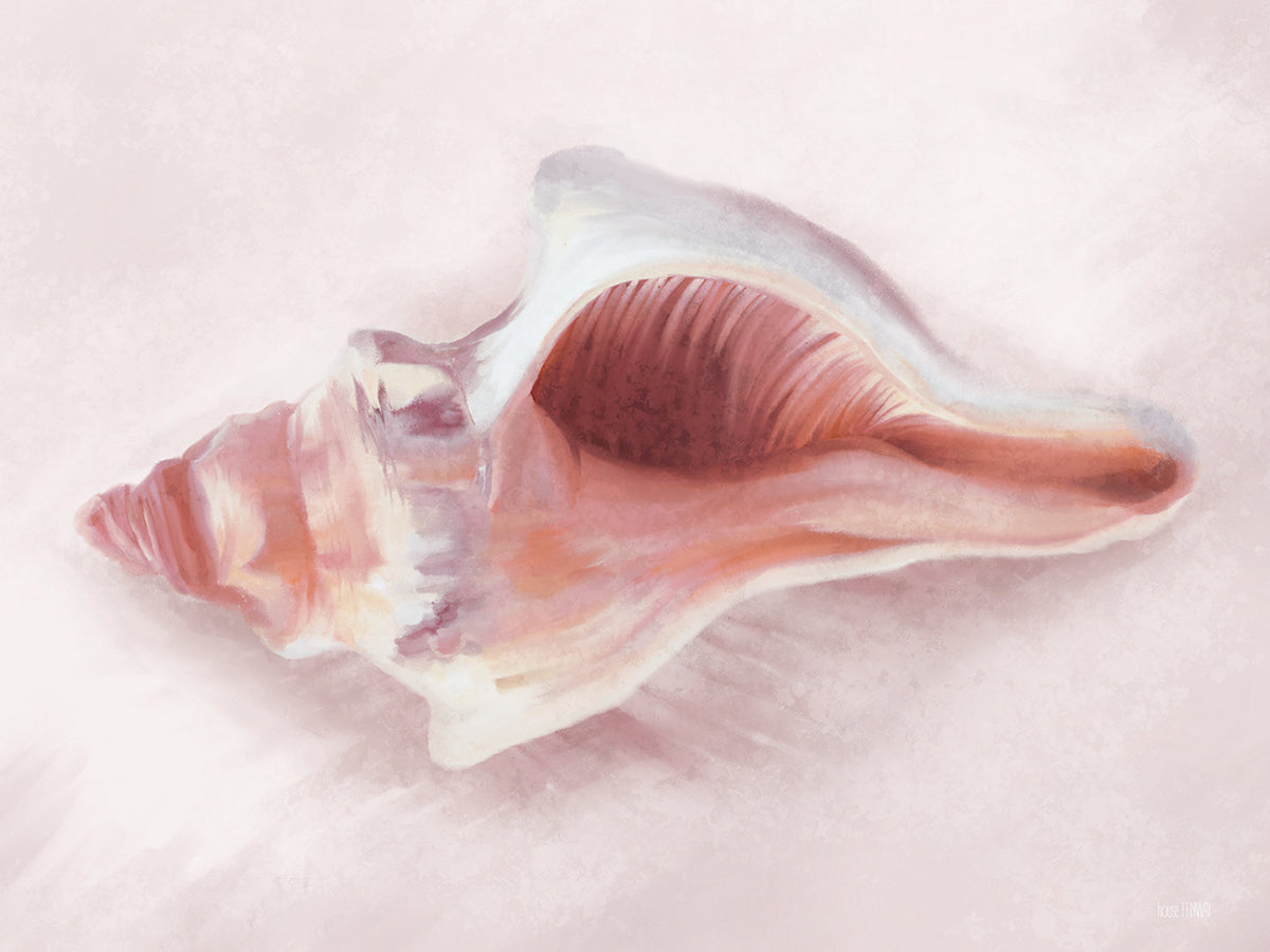 Conch Shell Blush II