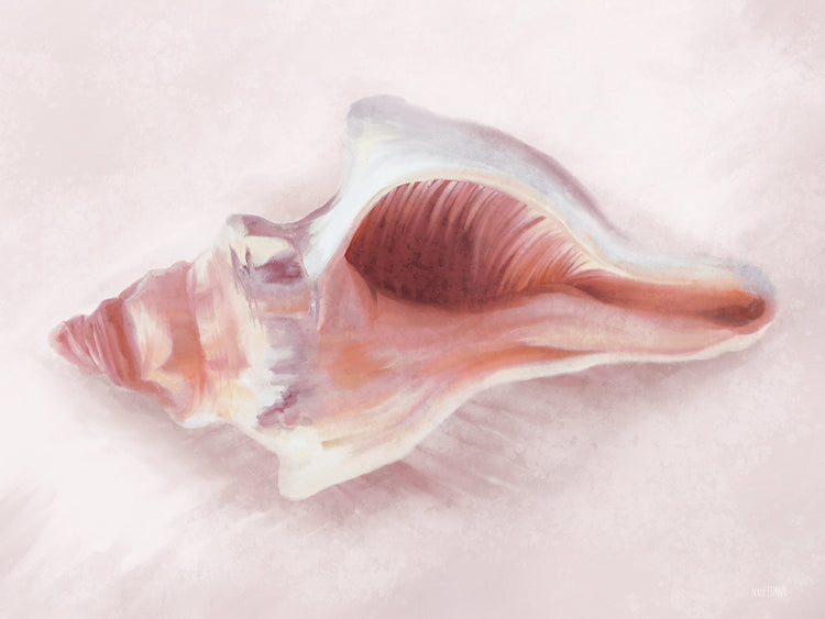 Caracola Blush II Lienzo