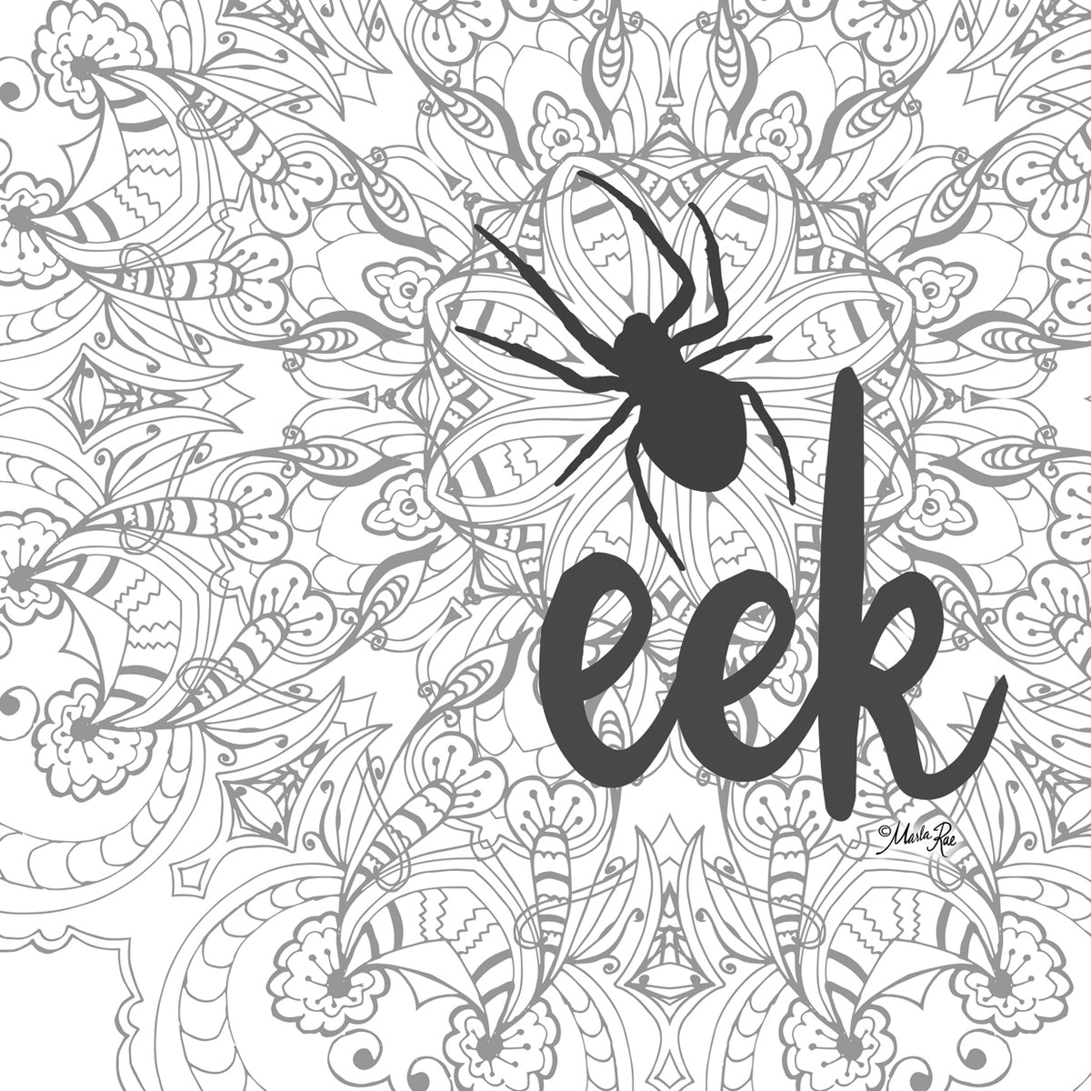 Spider Eek