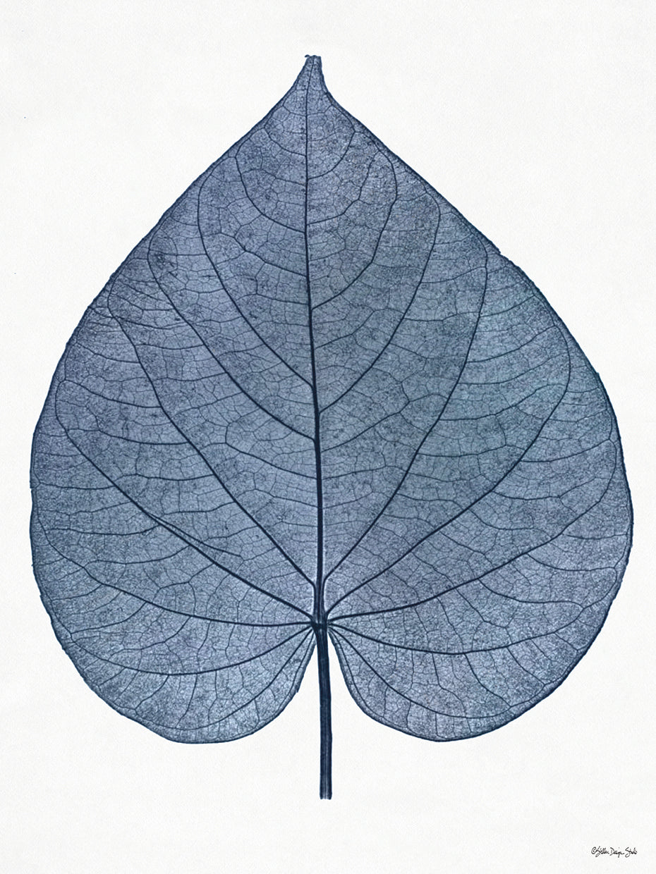 Indigo Nature Study I