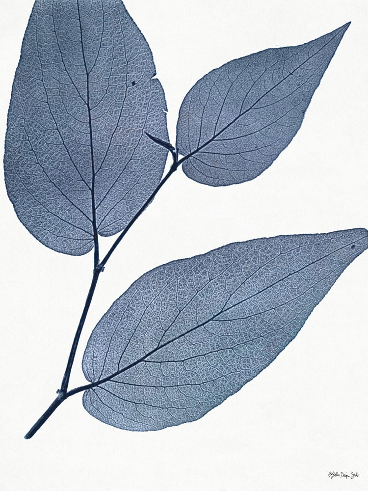 Indigo Nature Study II