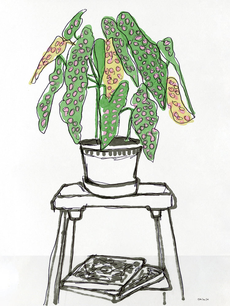 House Plant Study I