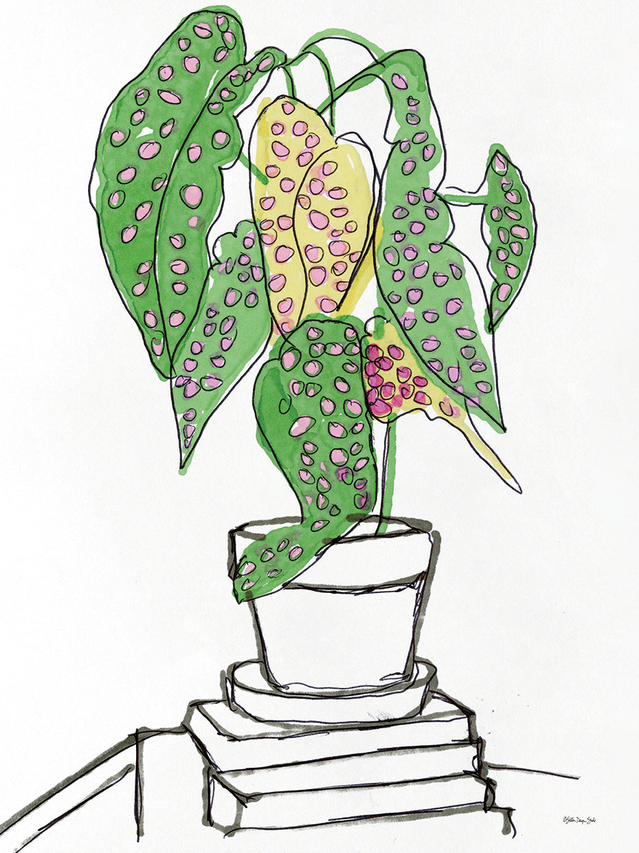 House Plant Study II