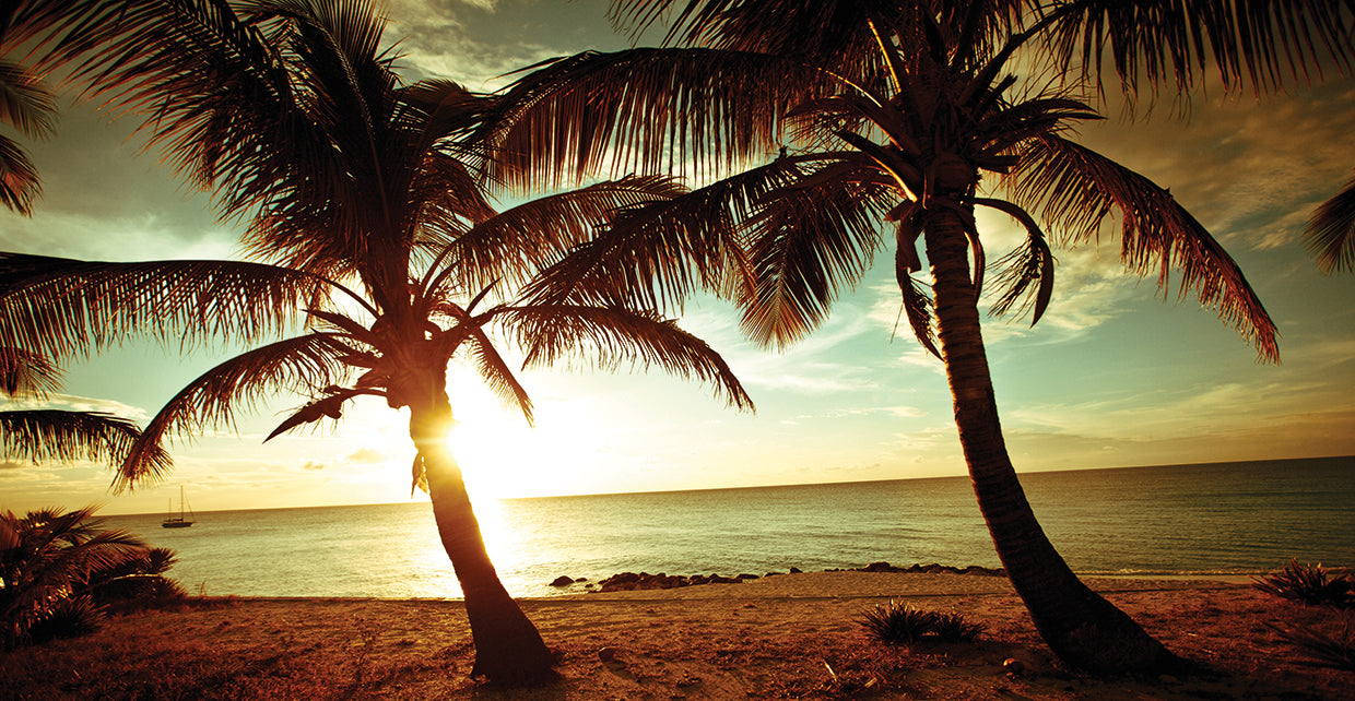 Bimini Sunset