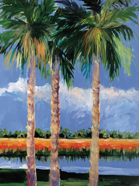Palm Coast Canvas Print