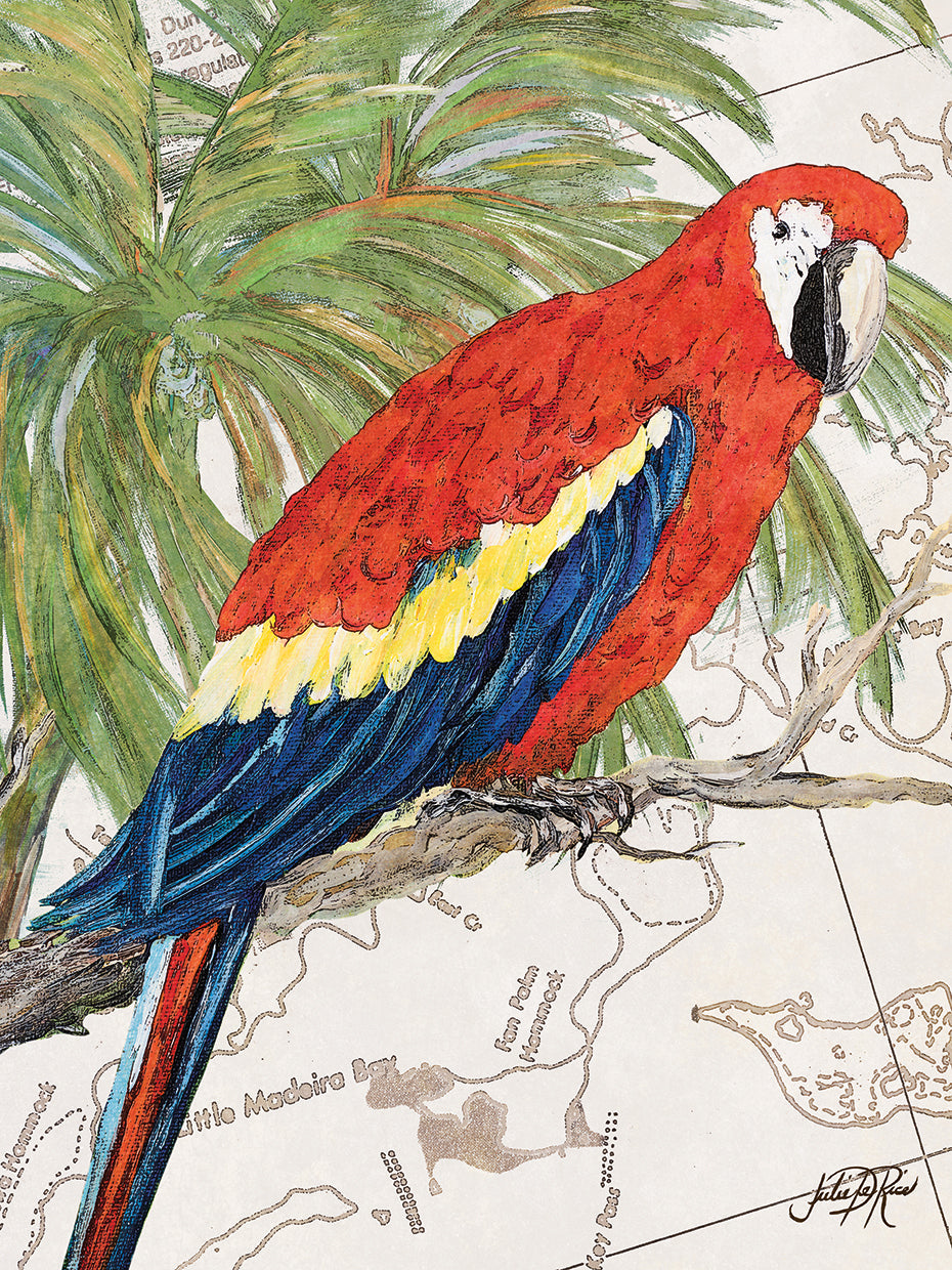 Another Bird in Paradise I