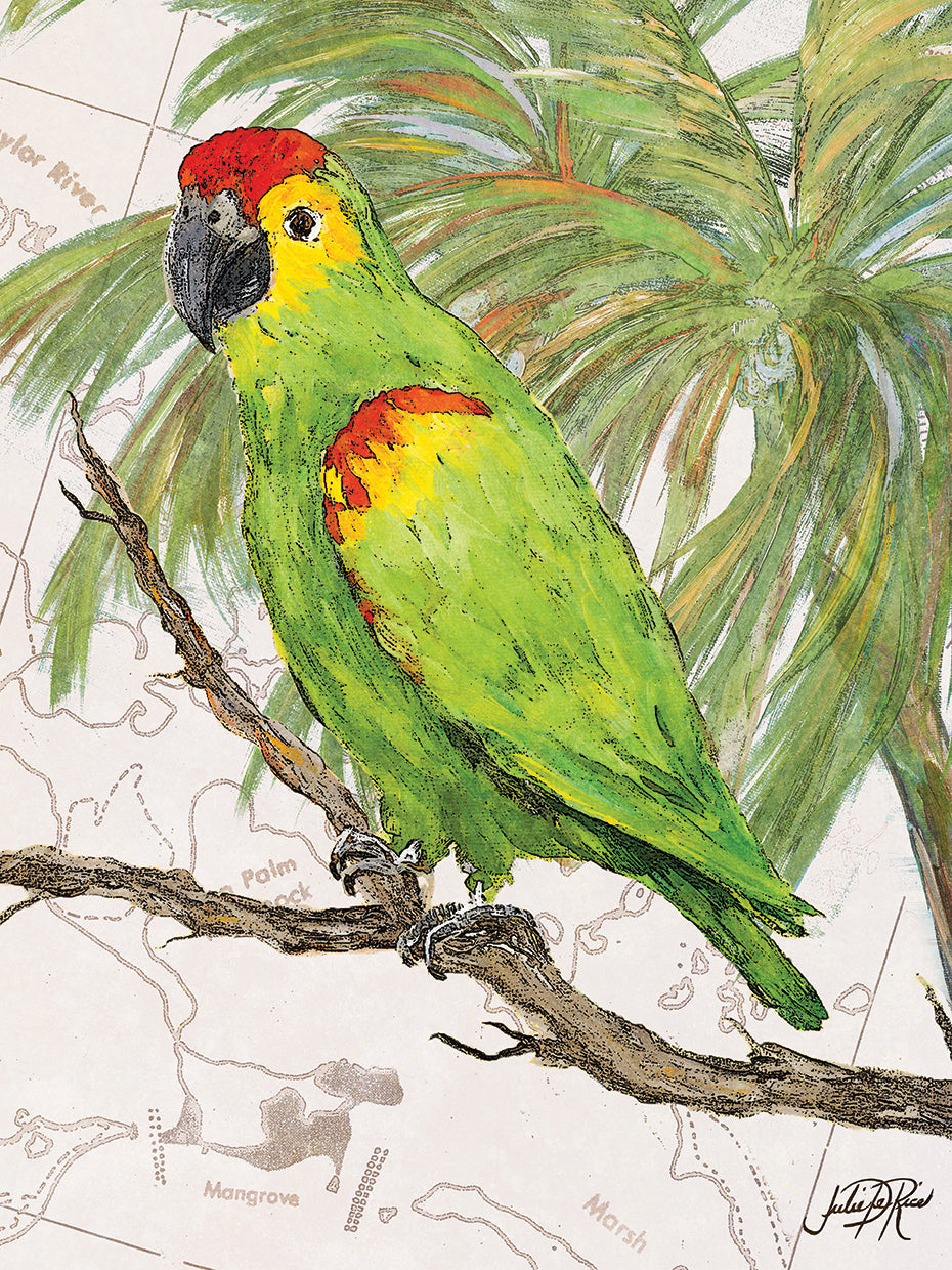 Another Bird in Paradise II