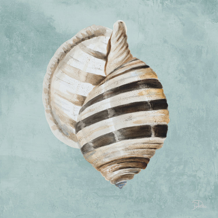 Shell moderno en verde azulado I Lienzo