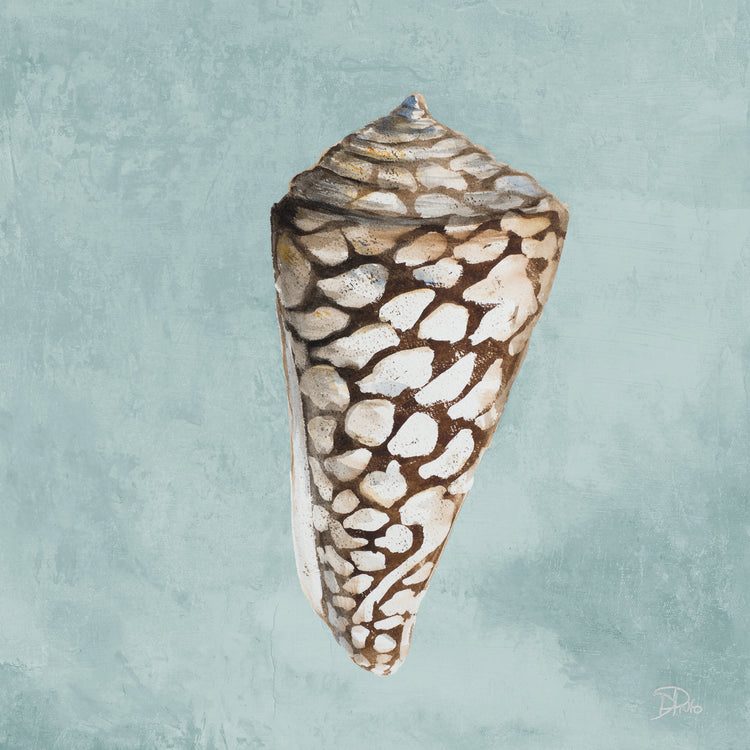 Shell moderno en Teal II Lienzo