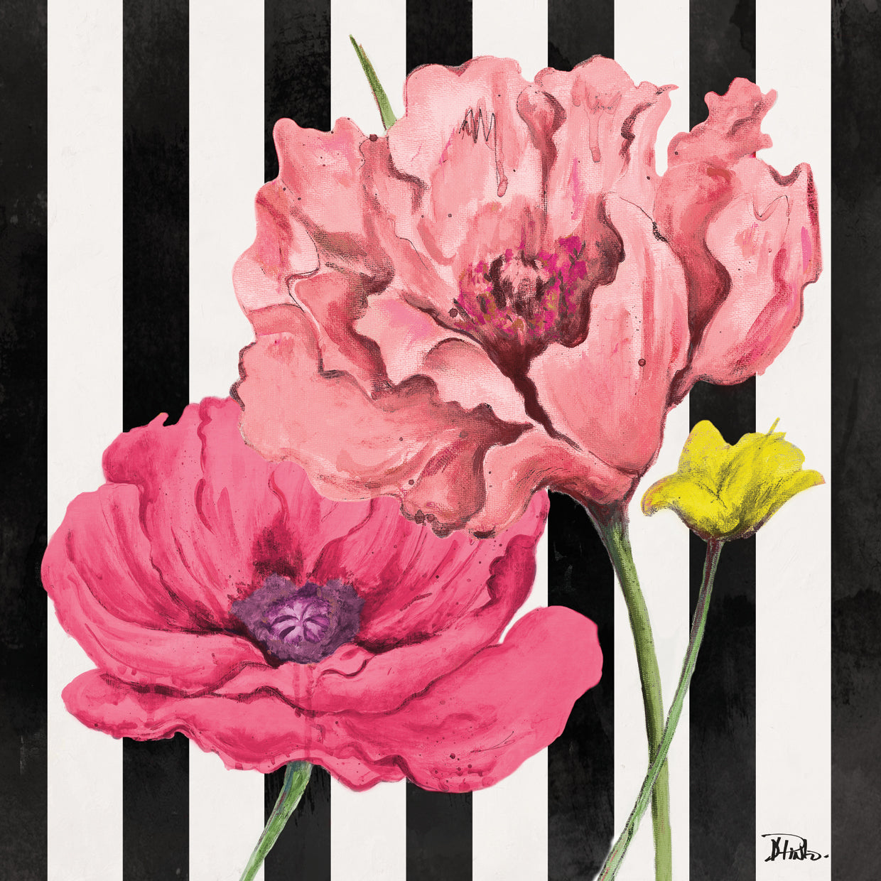 Amapolas en rayas I Lienzo