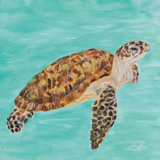 Sea Turtle I Canvas Print