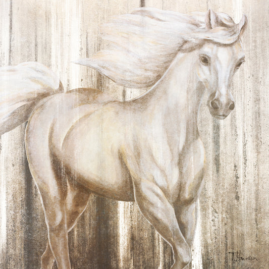 Dreamy Horse Canvas Print