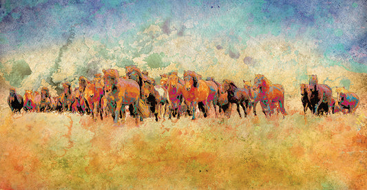Herd Of Horses Canvas Print