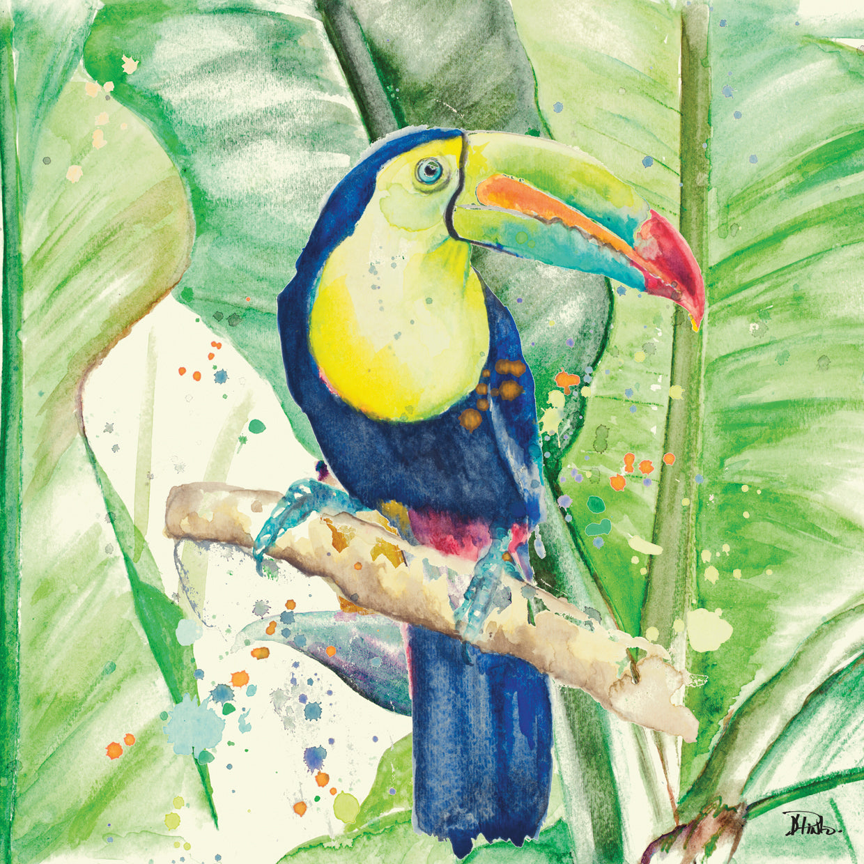 Tucán colorido Lienzo