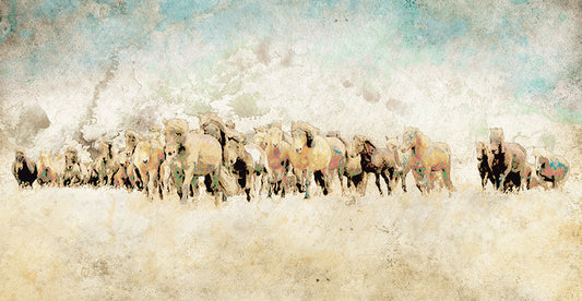 Roaming Horses Canvas Print