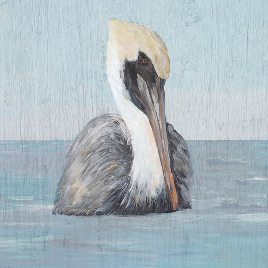 Pelican Wash II Canvas Print