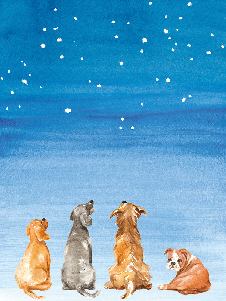 Cuatro perros mirando las estrellas Lienzo