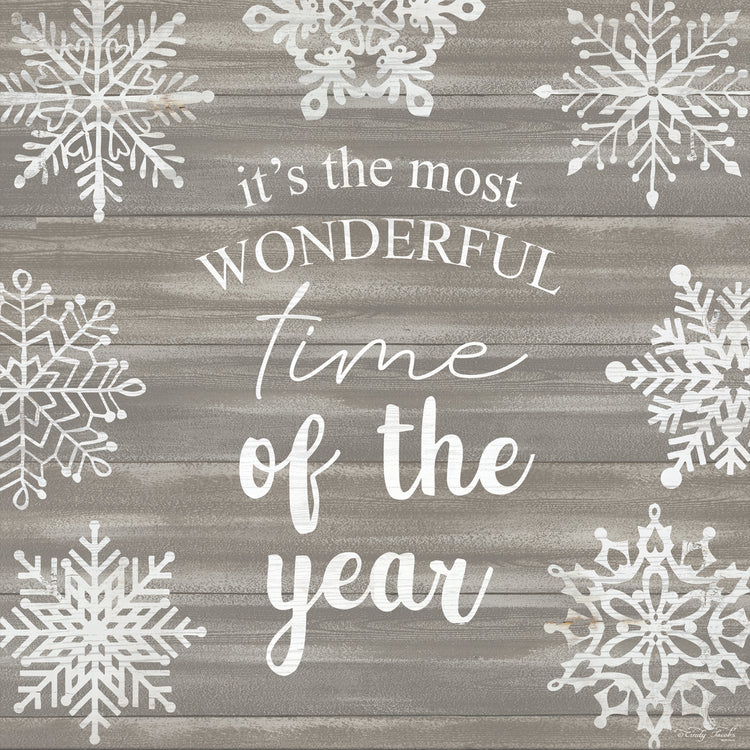 Wonderful Time of the Year Snowflakes