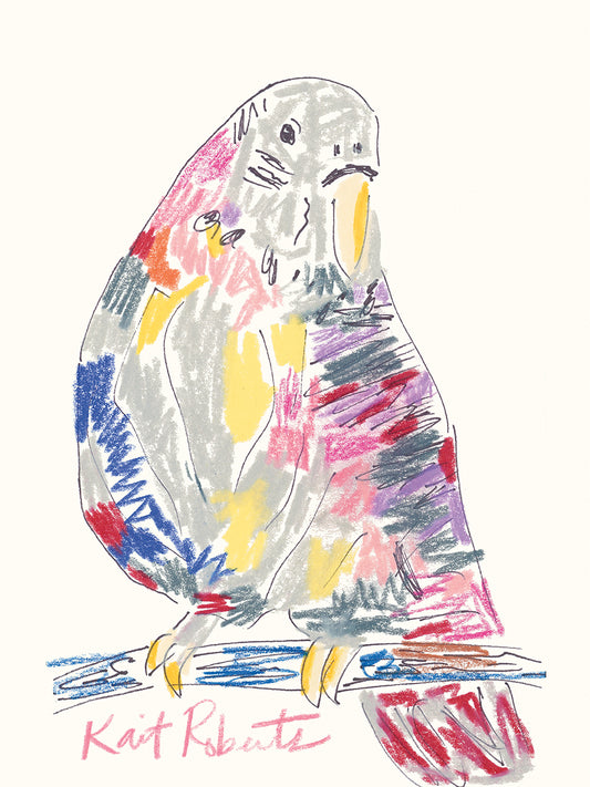 Jimmy the Bird Canvas Print